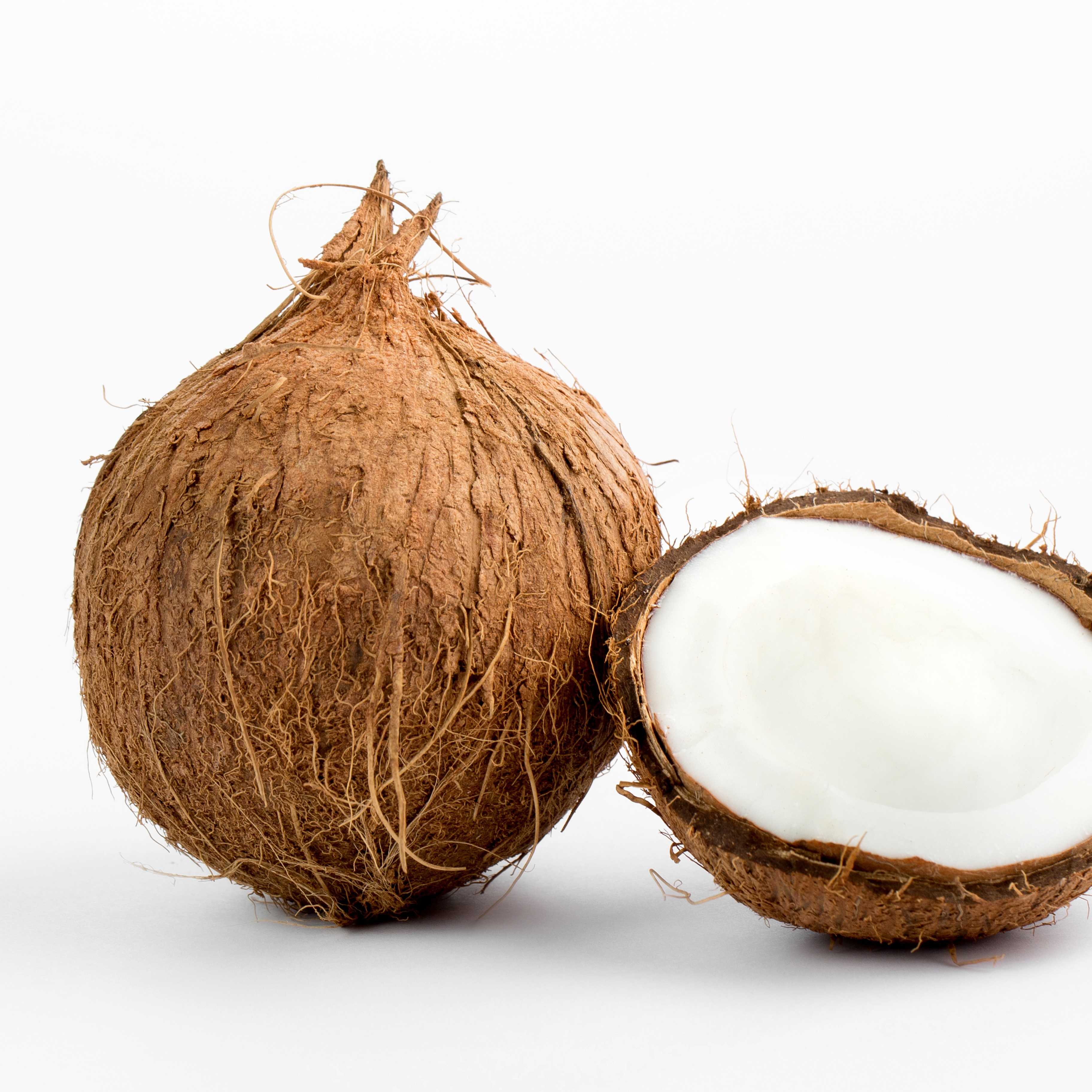 COCONUT Coconut