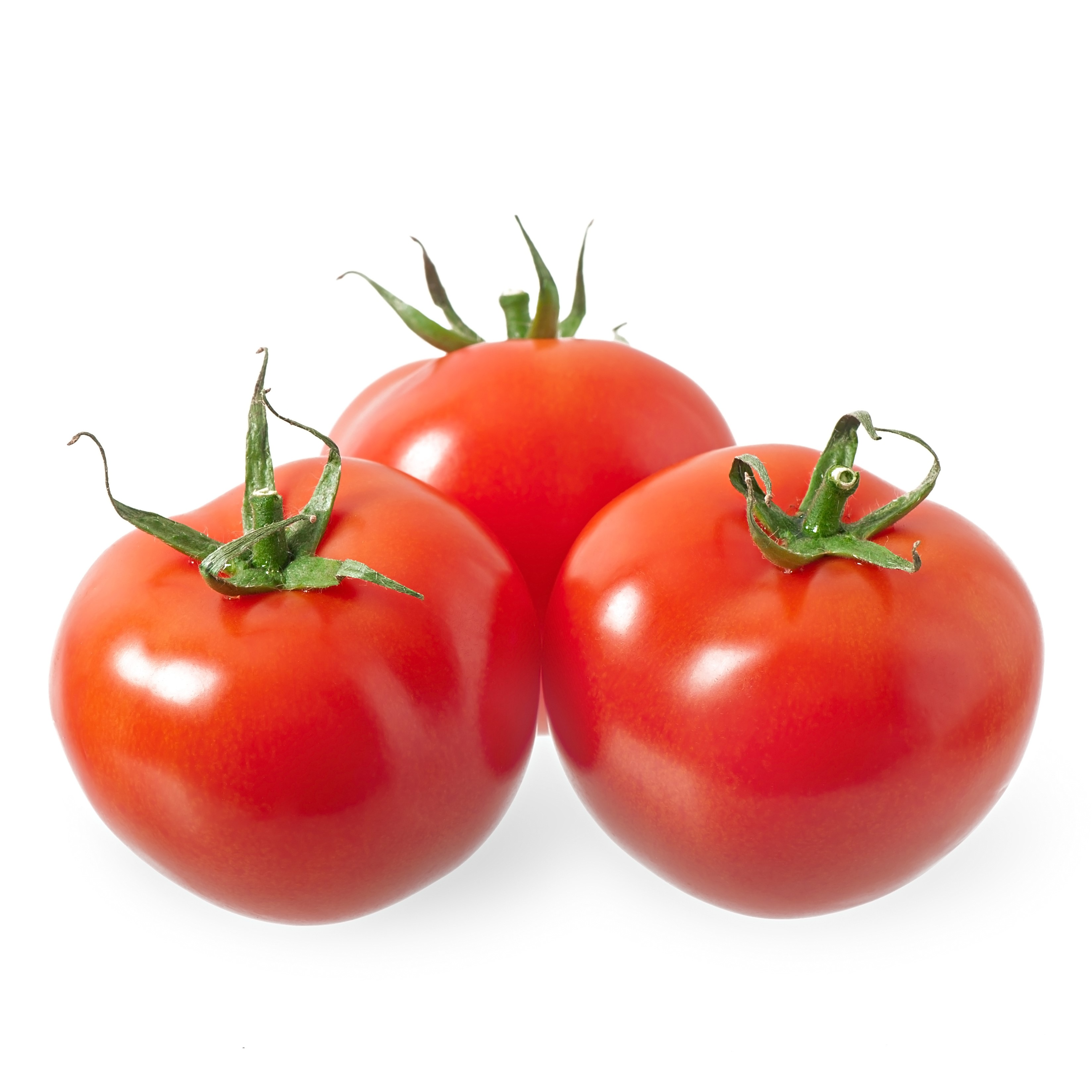 Tomato isolated on white background Tomato